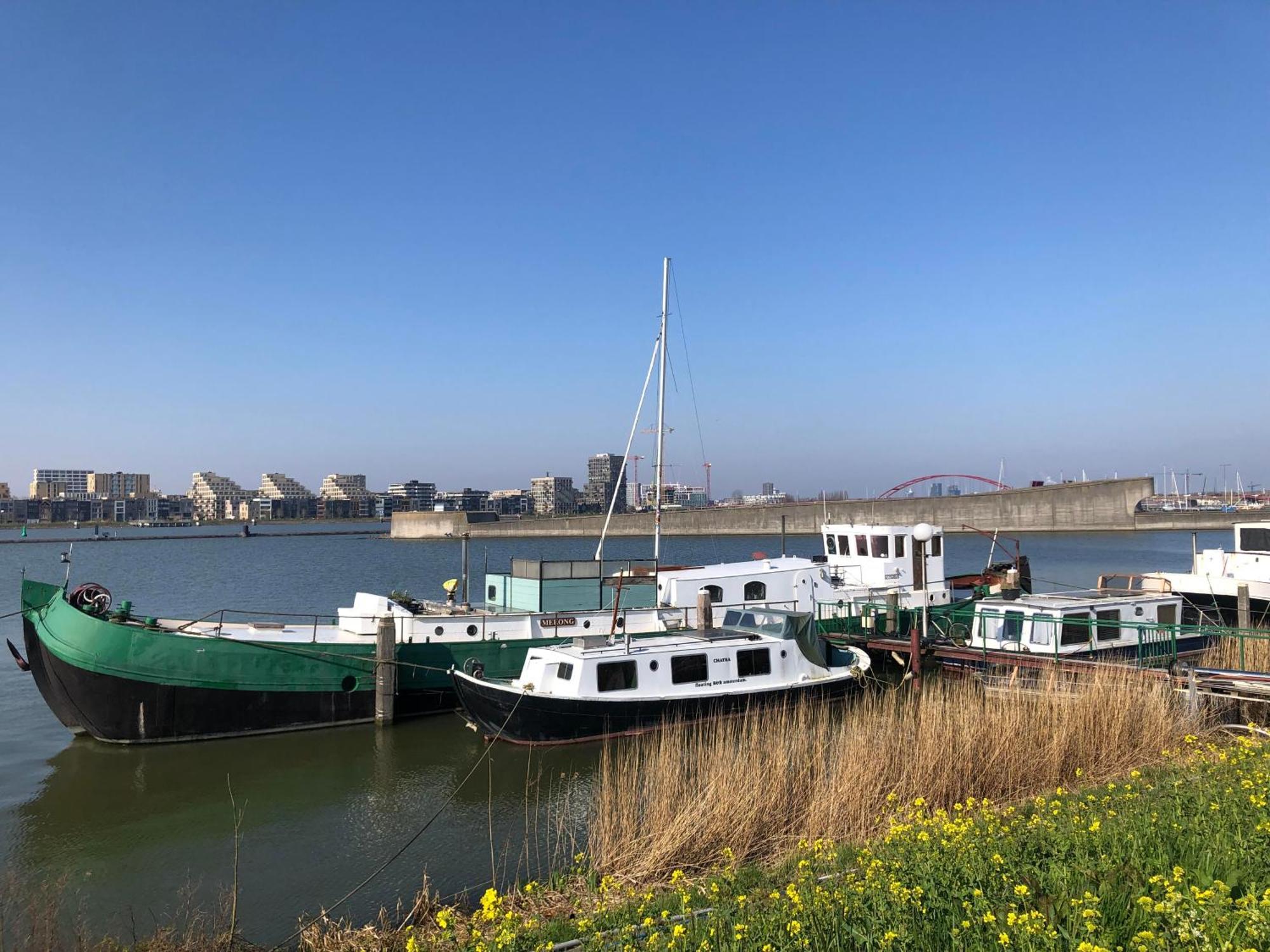 Floating B&B أمستردام المظهر الخارجي الصورة